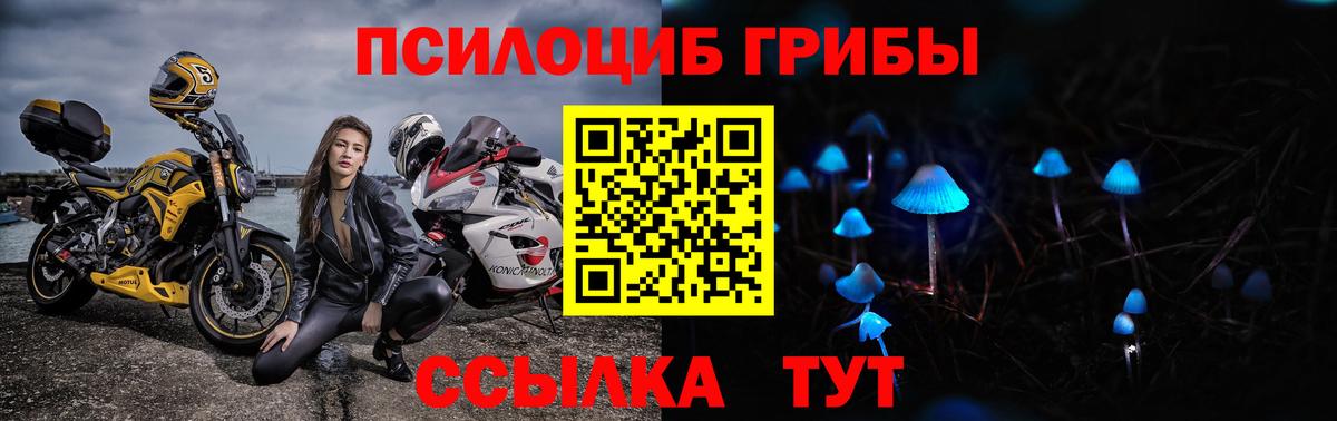 Галлюциногенные грибы мухоморы  наркота  Сосновый Бор  Вход с VPN 